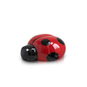 lil' ladybug