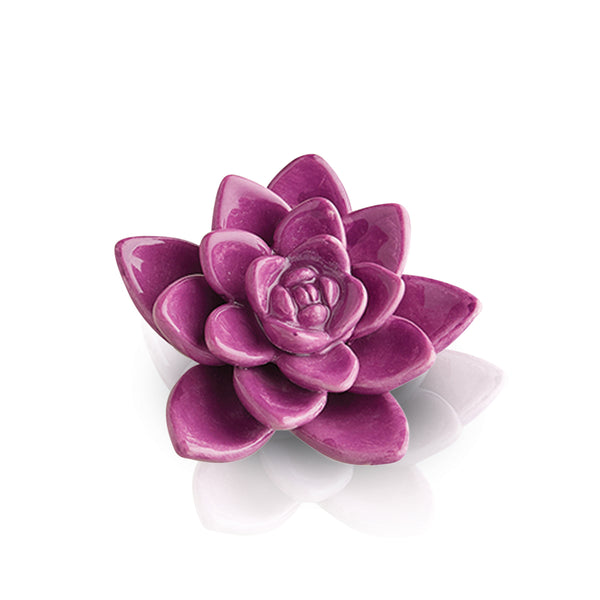 purple flower
