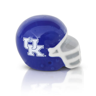 University of Kentucky helmet