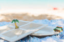 palm tree mini on the square divided dish on the beach