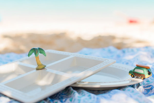 palm tree mini on the square divided dish on the beach