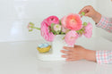 robin's egg nest mini on a cutie container with peonies