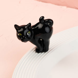 Black cat mini with green eyes on a white surface against a pink background