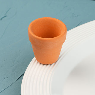 Terracotta pot mini on a white plate against a teal background