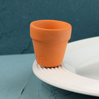 Terracotta pot mini on a white plate against a teal background