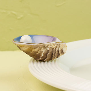 Shell with a white sphere inside on a textured green background