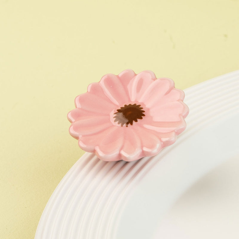 Pink flower mini on a white surface with a green background