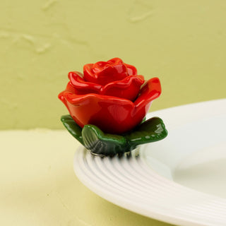 Red rose mini on a white plate with a green background