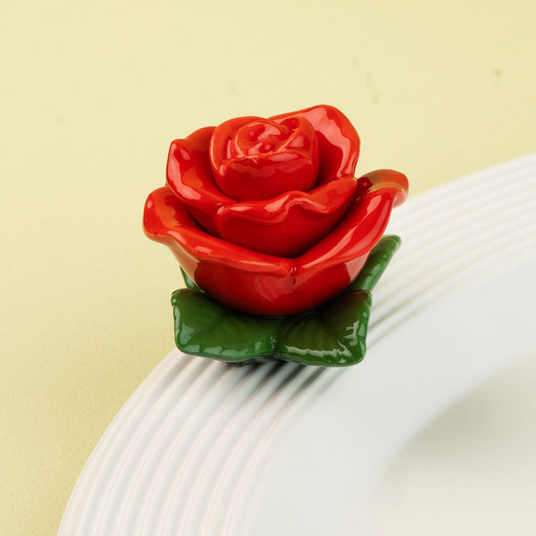 Red rose mini on a white plate with a green background