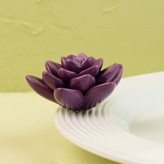 Purple succulent flower mini on a white plate with a green background