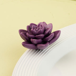 Purple succulent flower mini on a white plate with a green background