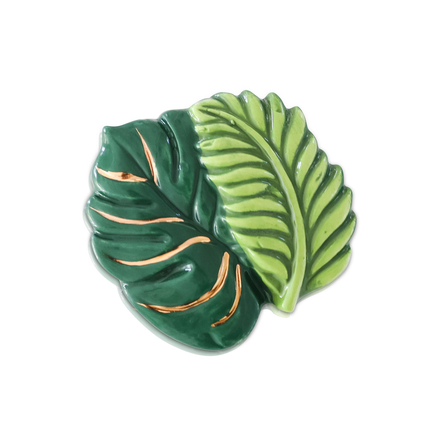 Dish Charm - best ferns forever