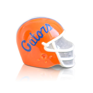 University of Florida helmet