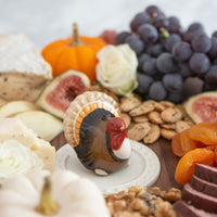 turkey and thanksgiving spread