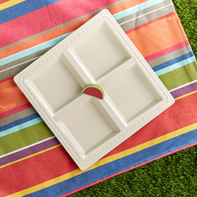 watermelon minin on a square divided dish on a beach towel on the grass