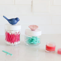 tulip and bluebird pink daisy